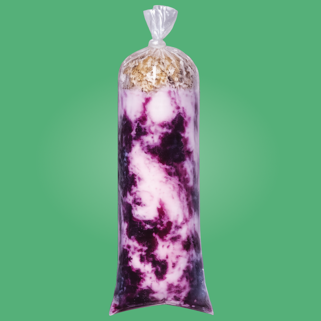 Zarzamora Cheesecake Fit