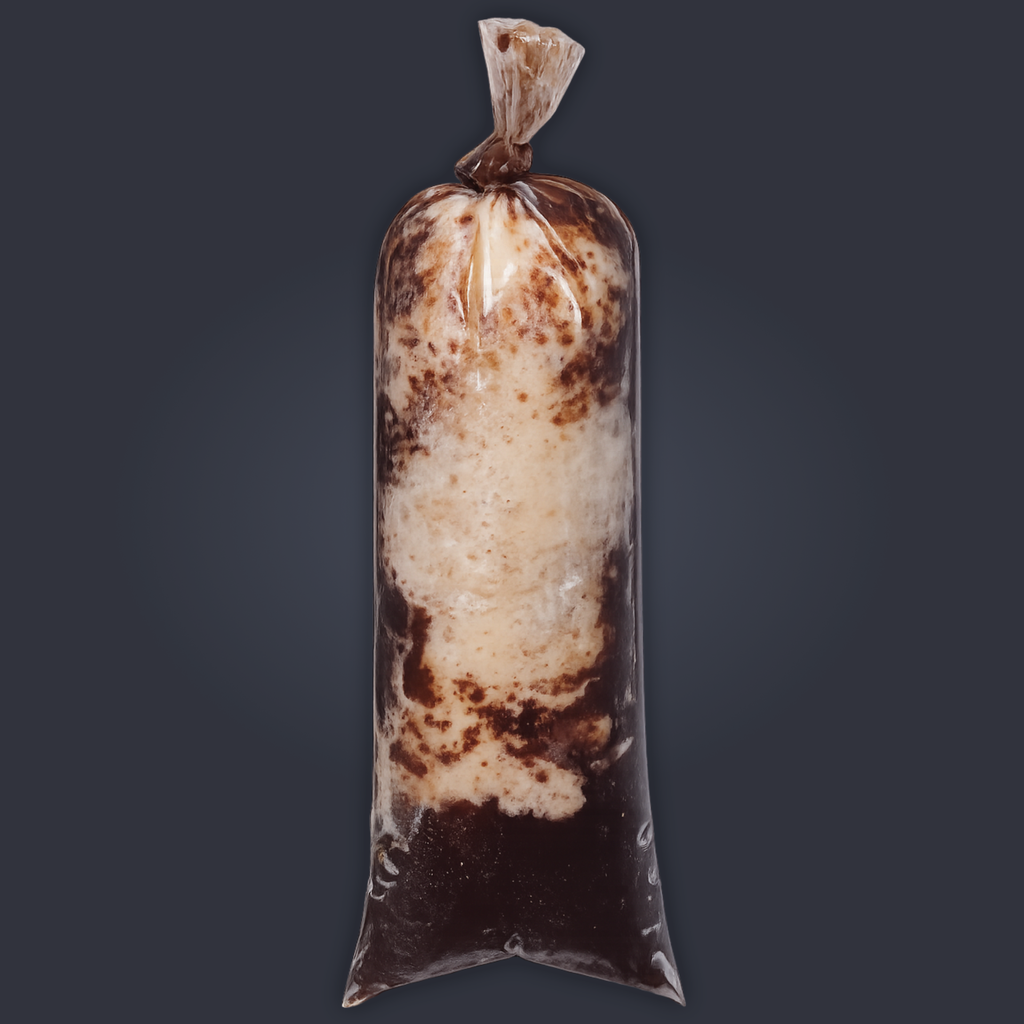 Dátil con Chocolate Premium Pro
